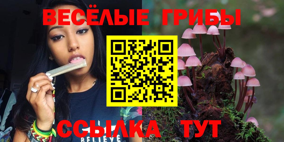 Галлюциногенные грибы GOLDEN TEACHER Егорьевск